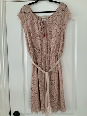 Johnny Was Blush Pink Lace Belted Dress